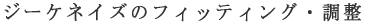�W�[�P�l�C�Y�̏C�� 